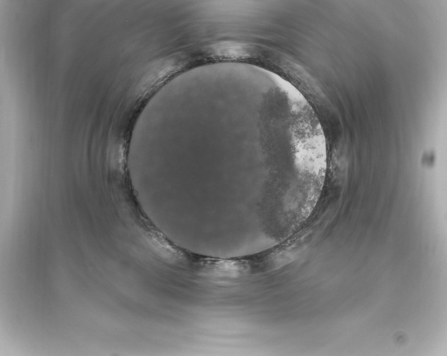 X0000093620330200711121242