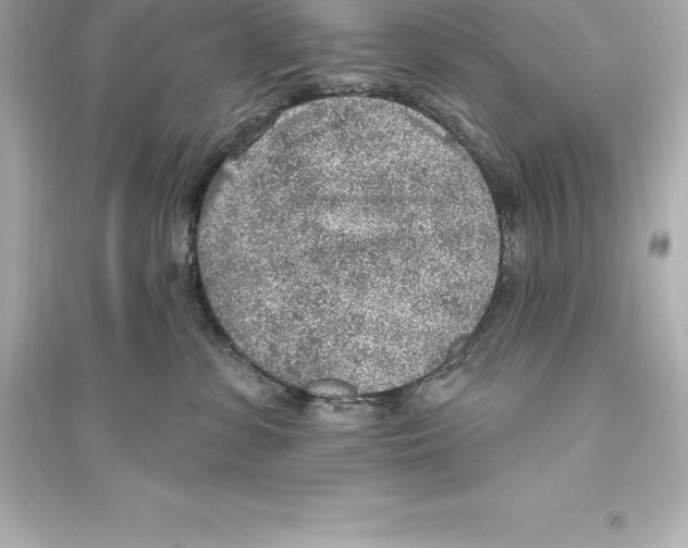 X0000093620331200711121242