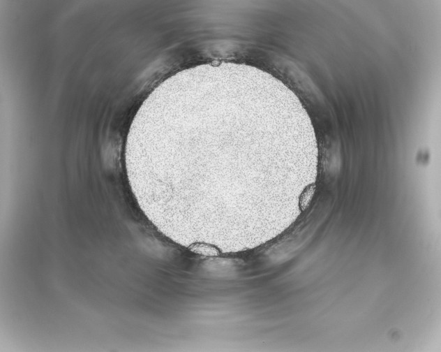 X0000093620332200711121242