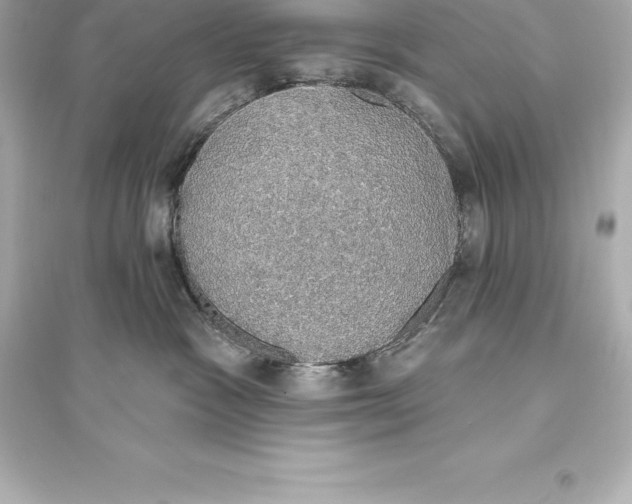 X0000093620333200711121242