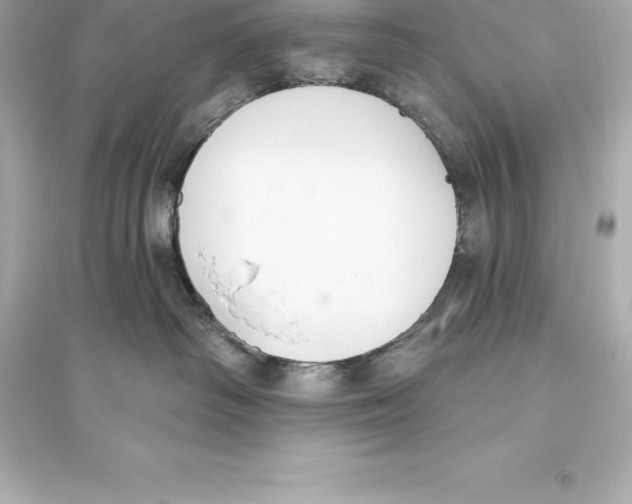 X0000093620334200711121242