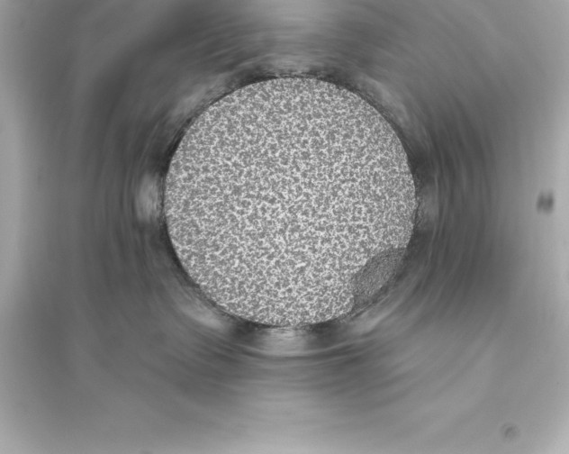 X0000093620335200711121242