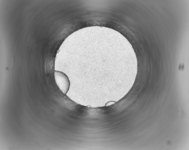 X0000093620336200711121242