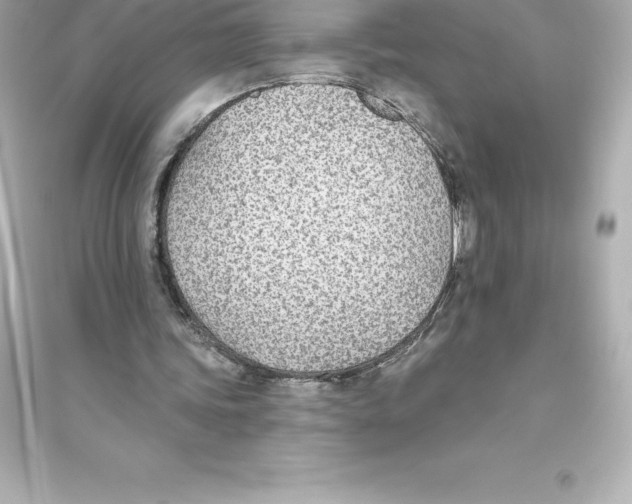 X0000093620339200711121241