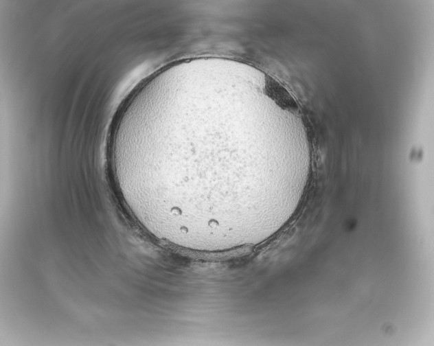 X0000093620340200711121241