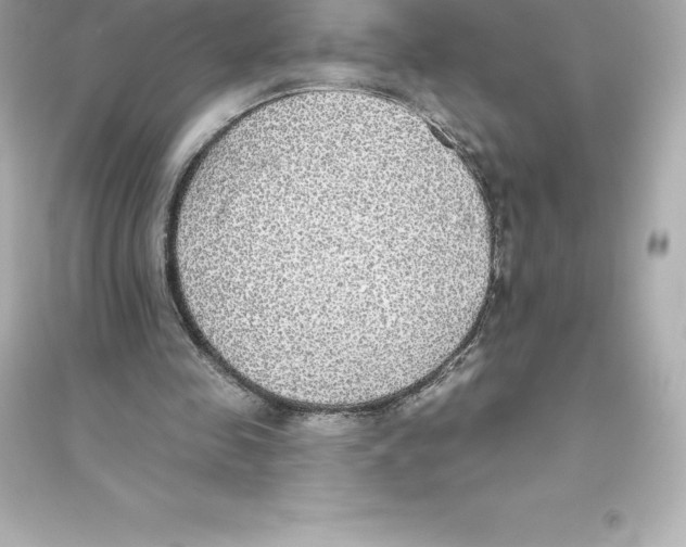 X0000093620341200711121241