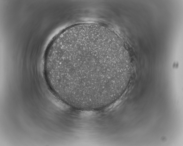 X0000093620342200711121241