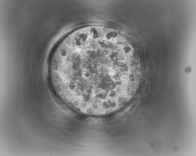 X0000093620343200711121241