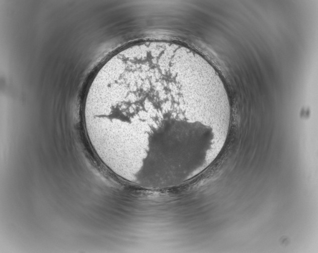 X0000093620347200711121241