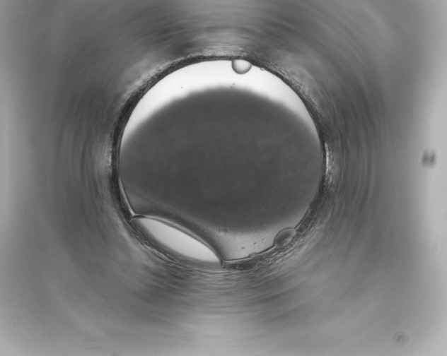 X0000093620348200711121241