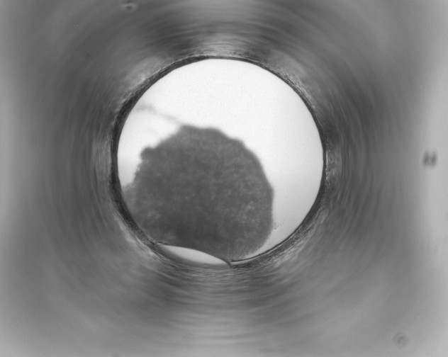 X0000093620349200711121241