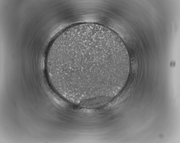 X0000093620350200711121241