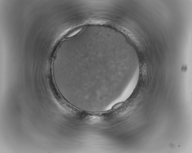 X0000093620352200711121241