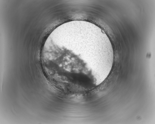 X0000093620353200711121241