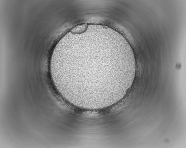 X0000093620354200711121241