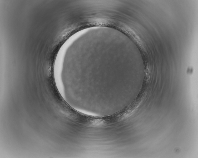 X0000093620355200711121241