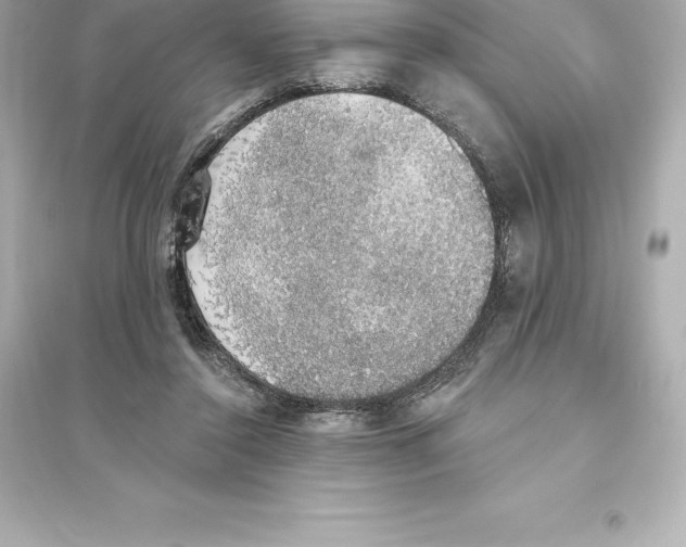 X0000093620356200711121241