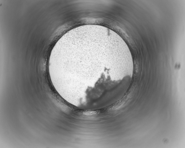 X0000093620357200711121241