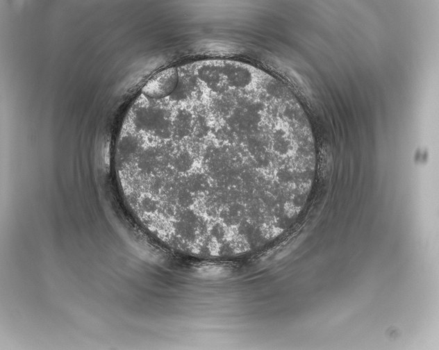 X0000093620358200711121241