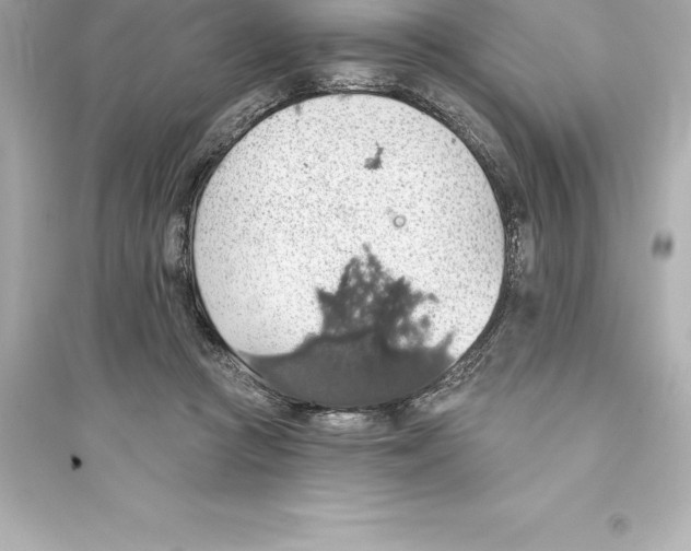 X0000093620361200711121241