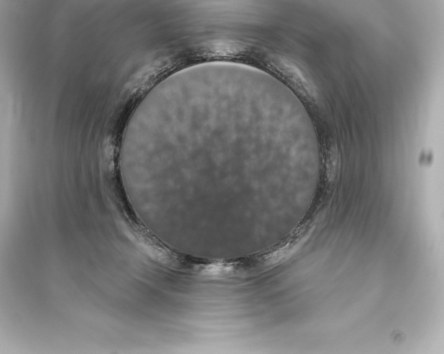 X0000093620366200711121241