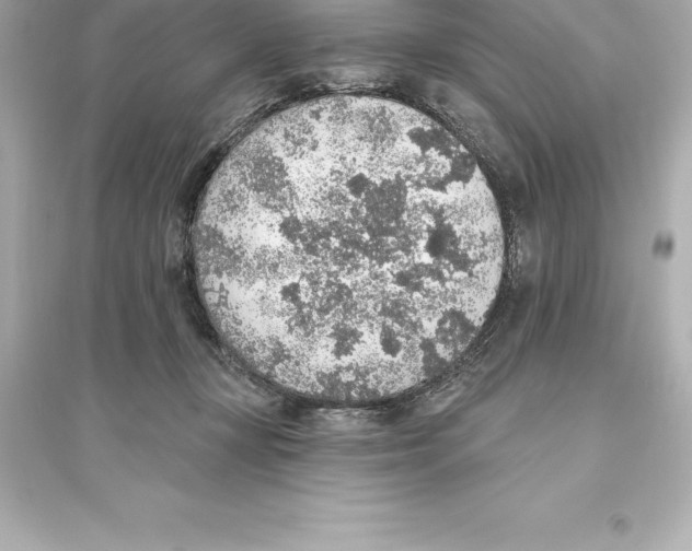 X0000093620367200711121241