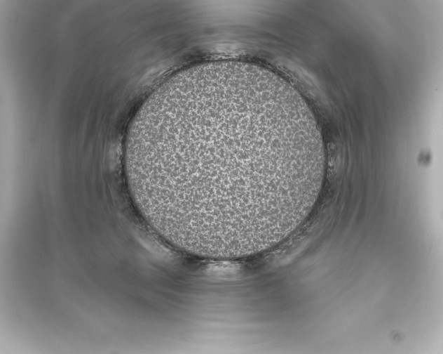 X0000093620369200711121241