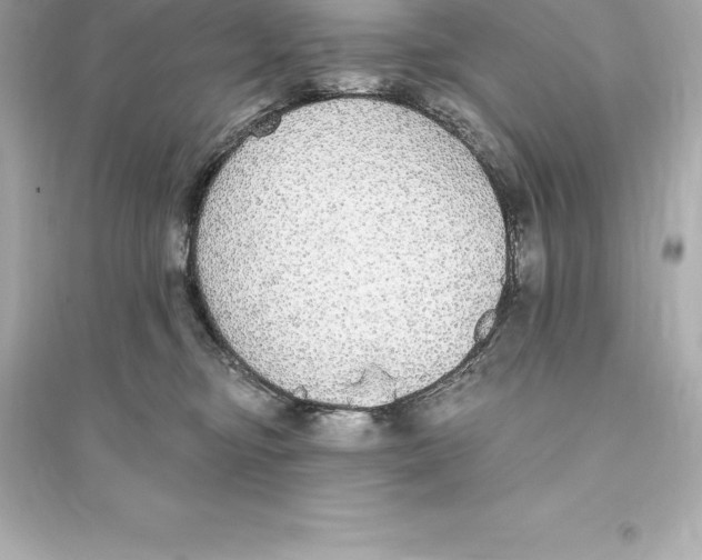 X0000093620374200711121241