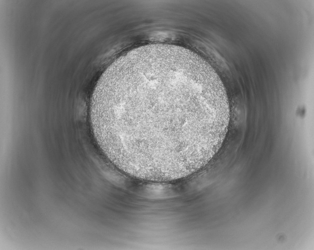 X0000093620375200711121241