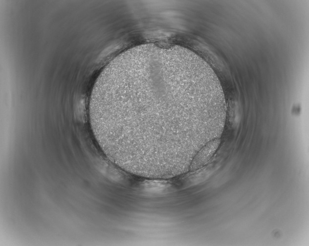 X0000093620378200711121242