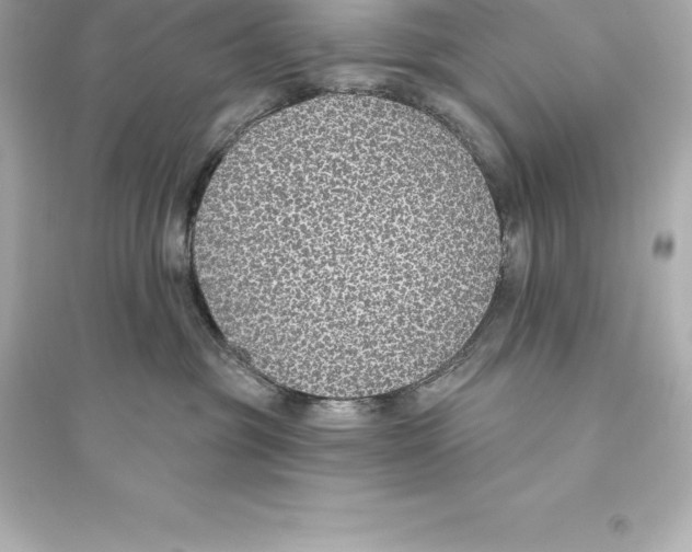 X0000093620381200711121242