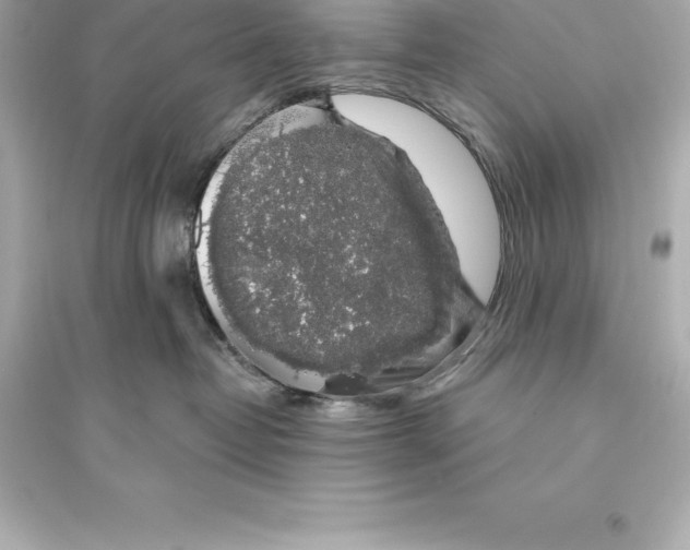 X0000093620382200711121242