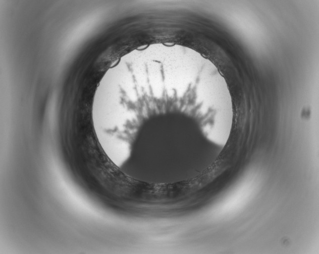 X0000093620383200711121242