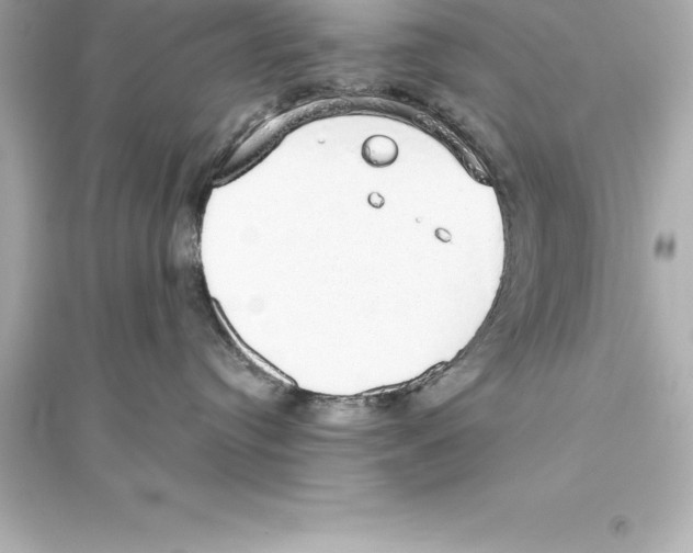 X0000093620384200711121242