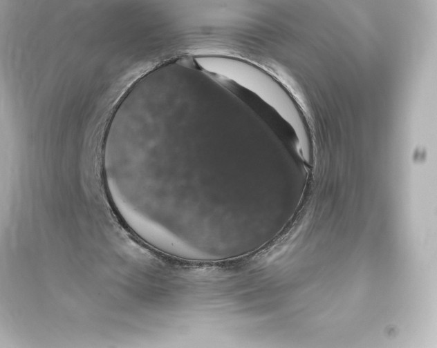 X0000093620385200711121241