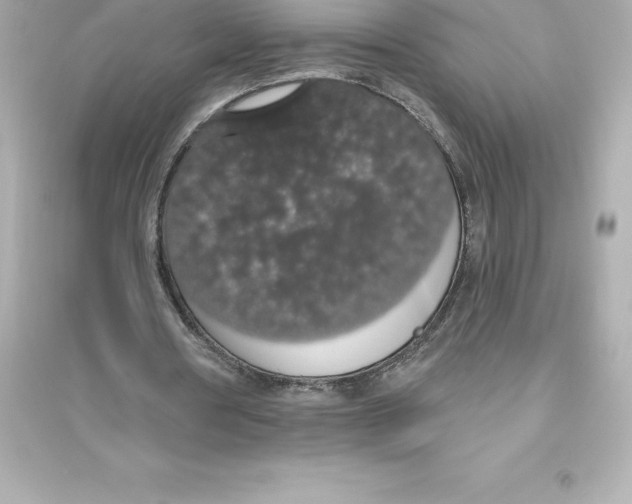 X0000093620386200711121241