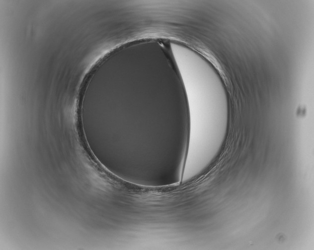 X0000093620387200711121241