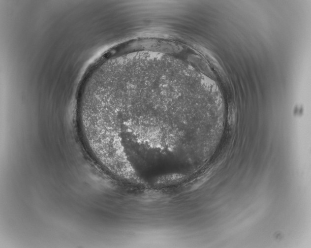 X0000093620388200711121241