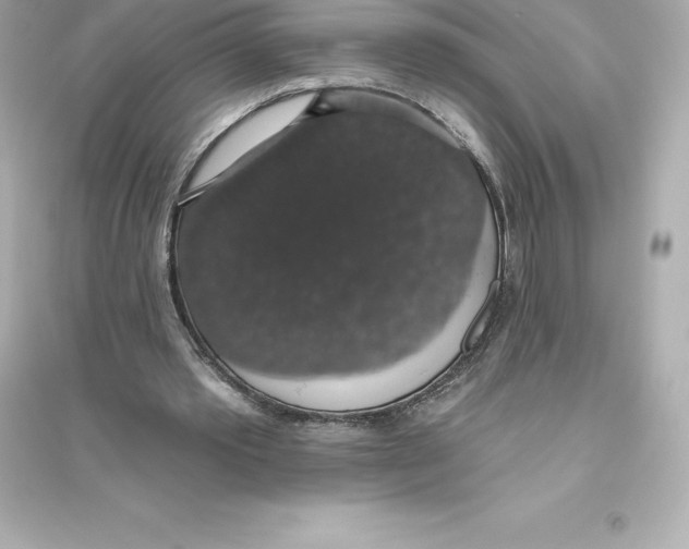 X0000093620389200711121241