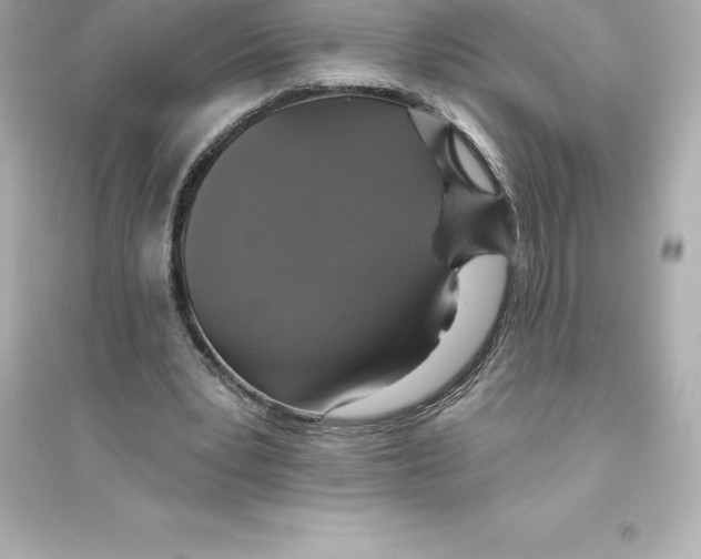 X0000093620391200711121241