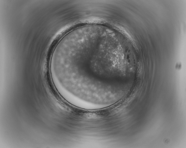 X0000093620392200711121241