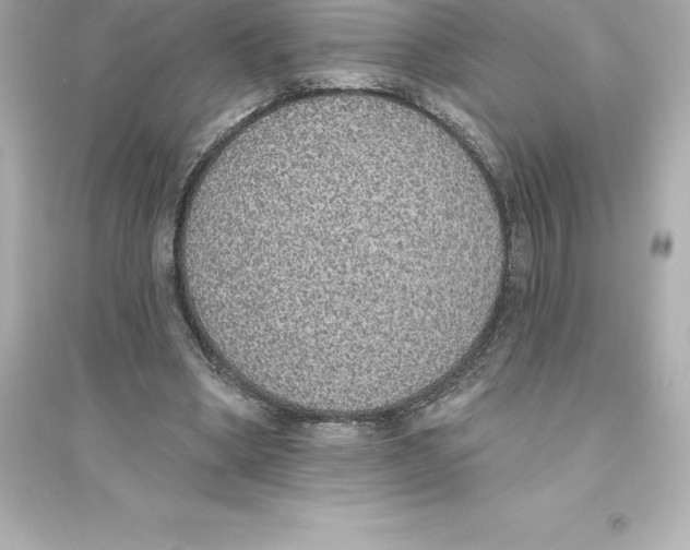 X0000093620394200711121241