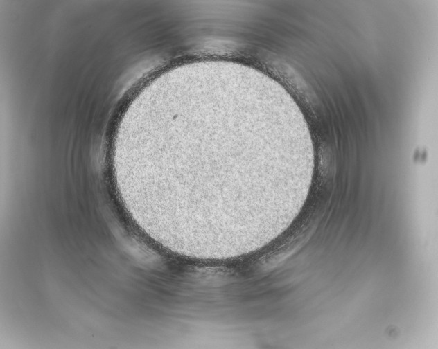 X0000093620396200711121241