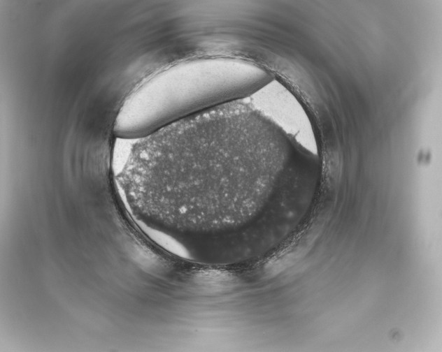 X0000093620397200711121241