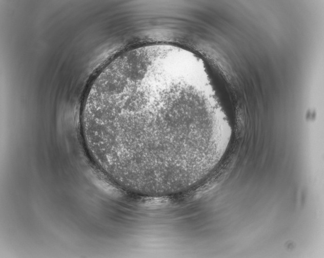 X0000093620398200711121241