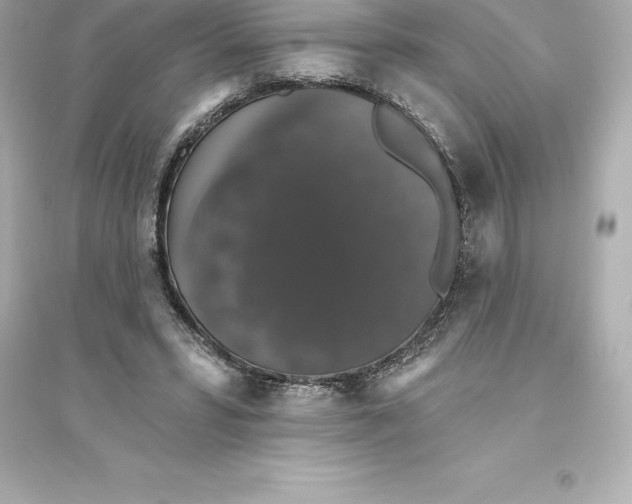 X0000093620399200711121241