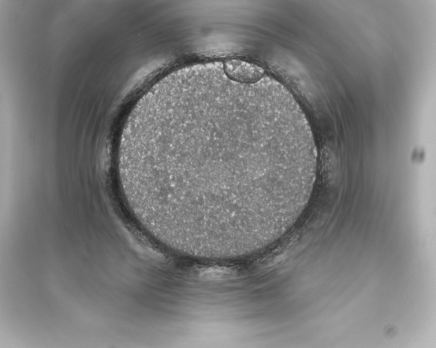 X0000093620400200711121241