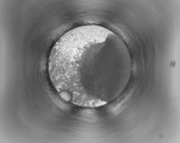 X0000093620402200711121241