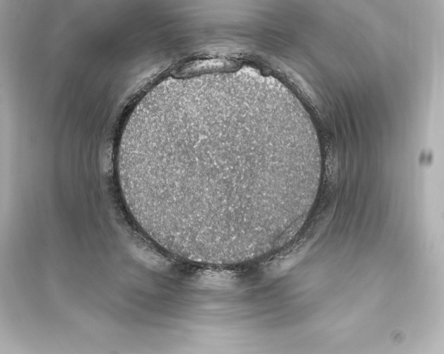 X0000093620403200711121241