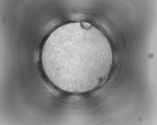 X0000093620404200711121241